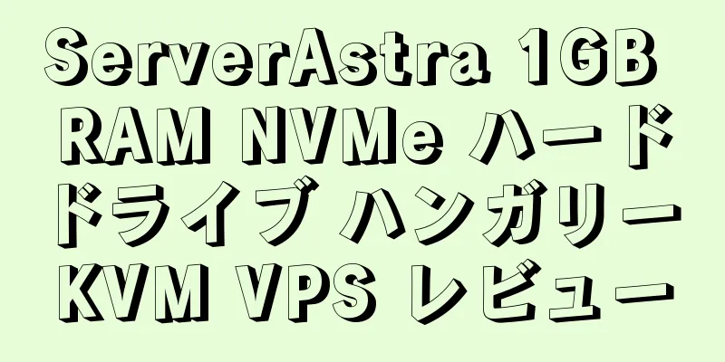 ServerAstra 1GB RAM NVMe ハードドライブ ハンガリー KVM VPS レビュー