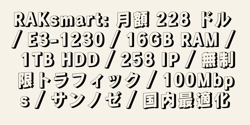 RAKsmart: 月額 228 ドル / E3-1230 / 16GB RAM / 1TB HDD / 258 IP / 無制限トラフィック / 100Mbps / サンノゼ / 国内最適化