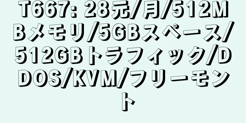 T667: 28元/月/512MBメモリ/5GBスペース/512GBトラフィック/DDOS/KVM/フリーモント