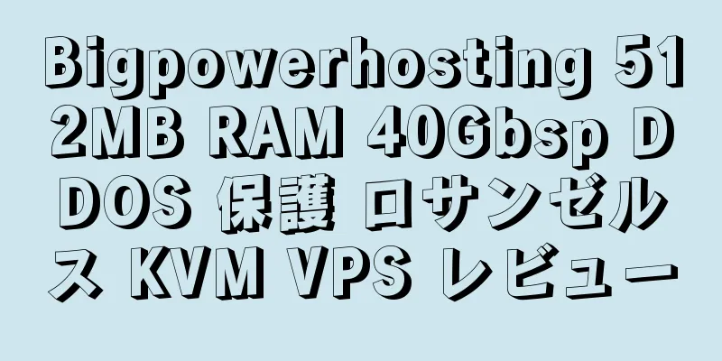 Bigpowerhosting 512MB RAM 40Gbsp DDOS 保護 ロサンゼルス KVM VPS レビュー