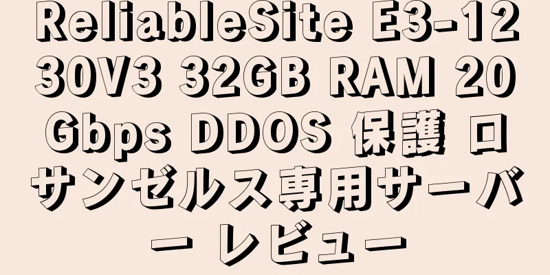 ReliableSite E3-1230V3 32GB RAM 20Gbps DDOS 保護 ロサンゼルス専用サーバー レビュー