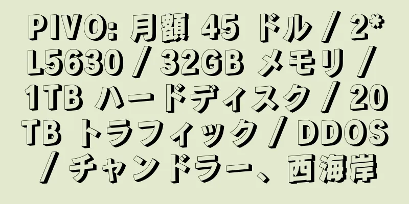 PIVO: 月額 45 ドル / 2*L5630 / 32GB メモリ / 1TB ハードディスク / 20TB トラフィック / DDOS / チャンドラー、西海岸