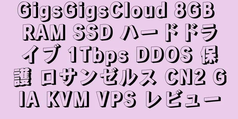 GigsGigsCloud 8GB RAM SSD ハードドライブ 1Tbps DDOS 保護 ロサンゼルス CN2 GIA KVM VPS レビュー