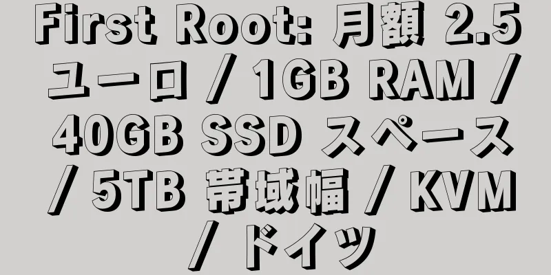 First Root: 月額 2.5 ユーロ / 1GB RAM / 40GB SSD スペース / 5TB 帯域幅 / KVM / ドイツ