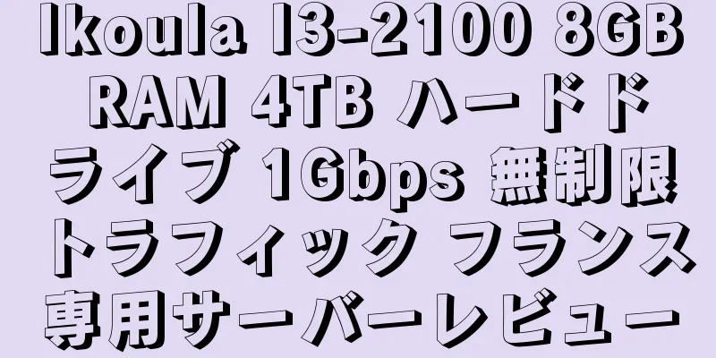 Ikoula I3-2100 8GB RAM 4TB ハードドライブ 1Gbps 無制限トラフィック フランス専用サーバーレビュー