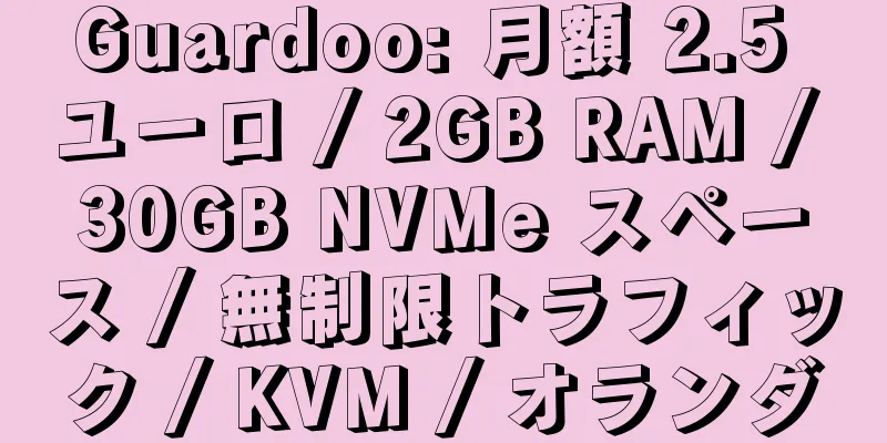 Guardoo: 月額 2.5 ユーロ / 2GB RAM / 30GB NVMe スペース / 無制限トラフィック / KVM / オランダ