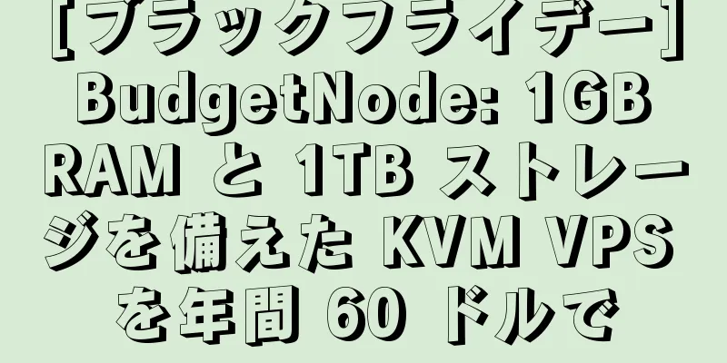 [ブラックフライデー] BudgetNode: 1GB RAM と 1TB ストレージを備えた KVM VPS を年間 60 ドルで