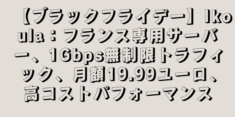 【ブラックフライデー】Ikoula：フランス専用サーバー、1Gbps無制限トラフィック、月額19.99ユーロ、高コストパフォーマンス