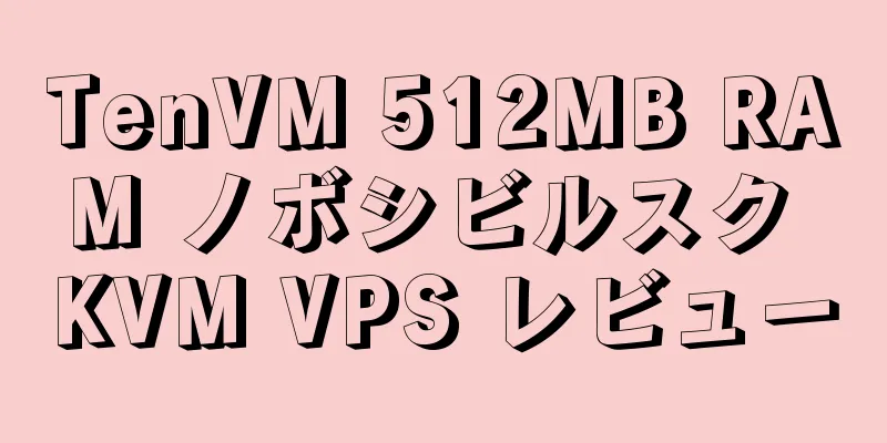 TenVM 512MB RAM ノボシビルスク KVM VPS レビュー