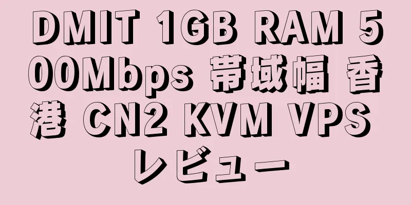 DMIT 1GB RAM 500Mbps 帯域幅 香港 CN2 KVM VPS レビュー