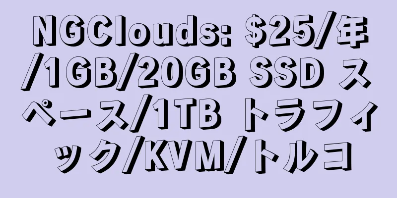 NGClouds: $25/年/1GB/20GB SSD スペース/1TB トラフィック/KVM/トルコ