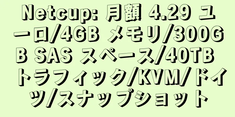 Netcup: 月額 4.29 ユーロ/4GB メモリ/300GB SAS スペース/40TB トラフィック/KVM/ドイツ/スナップショット