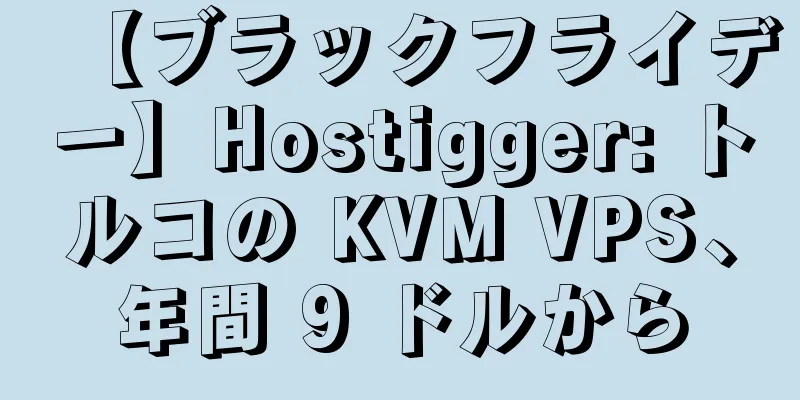 【ブラックフライデー】Hostigger: トルコの KVM VPS、年間 9 ドルから