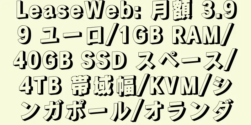 LeaseWeb: 月額 3.99 ユーロ/1GB RAM/40GB SSD スペース/4TB 帯域幅/KVM/シンガポール/オランダ