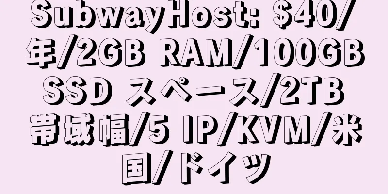 SubwayHost: $40/年/2GB RAM/100GB SSD スペース/2TB 帯域幅/5 IP/KVM/米国/ドイツ