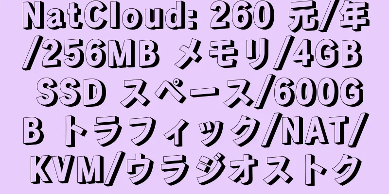 NatCloud: 260 元/年/256MB メモリ/4GB SSD スペース/600GB トラフィック/NAT/KVM/ウラジオストク