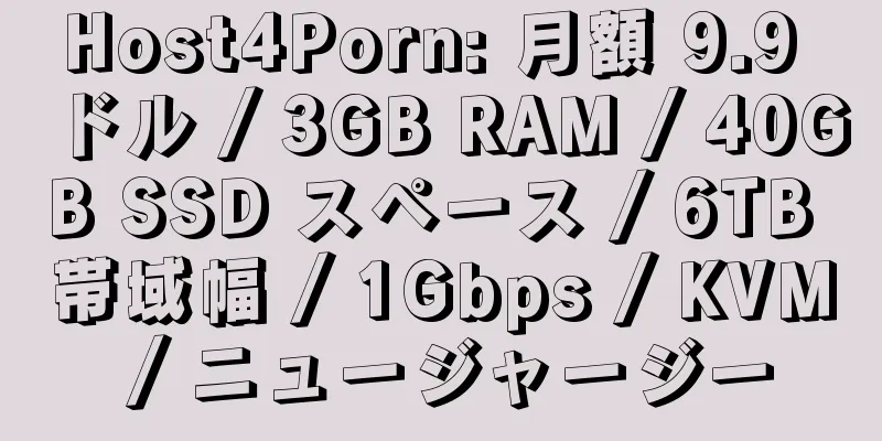 Host4Porn: 月額 9.9 ドル / 3GB RAM / 40GB SSD スペース / 6TB 帯域幅 / 1Gbps / KVM / ニュージャージー