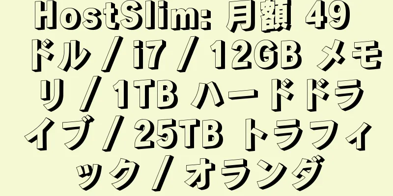 HostSlim: 月額 49 ドル / i7 / 12GB メモリ / 1TB ハードドライブ / 25TB トラフィック / オランダ