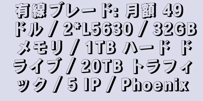 有線ブレード: 月額 49 ドル / 2*L5630 / 32GB メモリ / 1TB ハード ドライブ / 20TB トラフィック / 5 IP / Phoenix