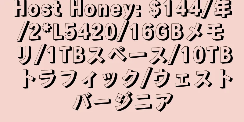 Host Honey: $144/年/2*L5420/16GBメモリ/1TBスペース/10TBトラフィック/ウェストバージニア