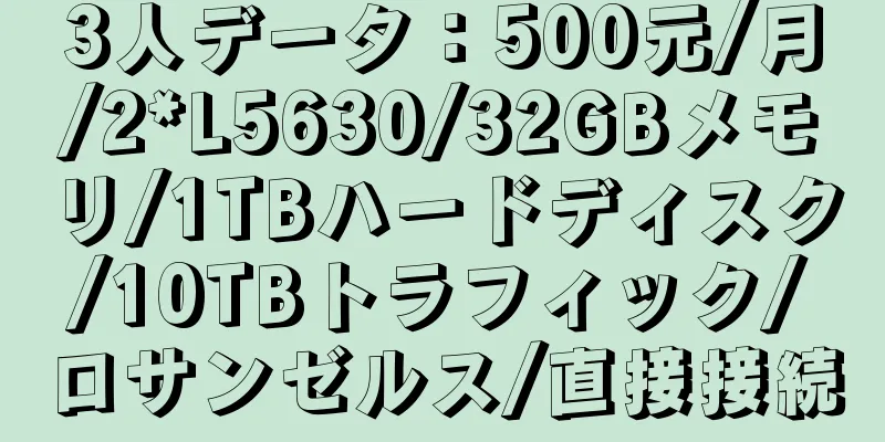 3人データ：500元/月/2*L5630/32GBメモリ/1TBハードディスク/10TBトラフィック/ロサンゼルス/直接接続