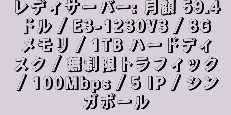 レディサーバー: 月額 59.4 ドル / E3-1230V3 / 8G メモリ / 1TB ハードディスク / 無制限トラフィック / 100Mbps / 5 IP / シンガポール