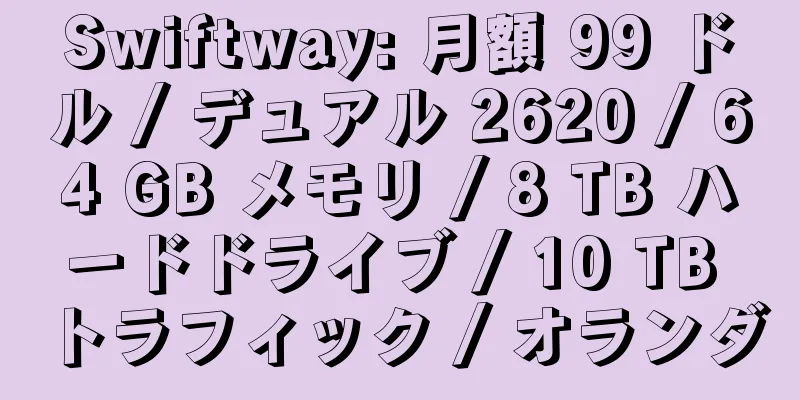 Swiftway: 月額 99 ドル / デュアル 2620 / 64 GB メモリ / 8 TB ハードドライブ / 10 TB トラフィック / オランダ