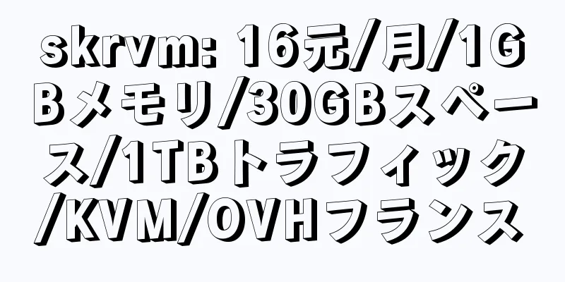 skrvm: 16元/月/1GBメモリ/30GBスペース/1TBトラフィック/KVM/OVHフランス