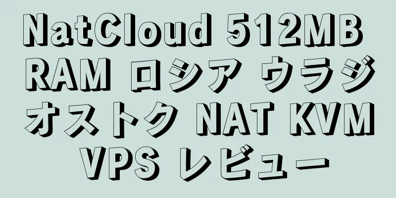 NatCloud 512MB RAM ロシア ウラジオストク NAT KVM VPS レビュー