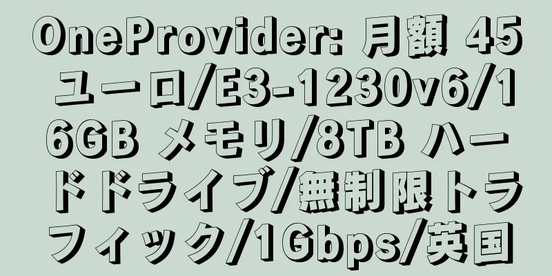 OneProvider: 月額 45 ユーロ/E3-1230v6/16GB メモリ/8TB ハードドライブ/無制限トラフィック/1Gbps/英国