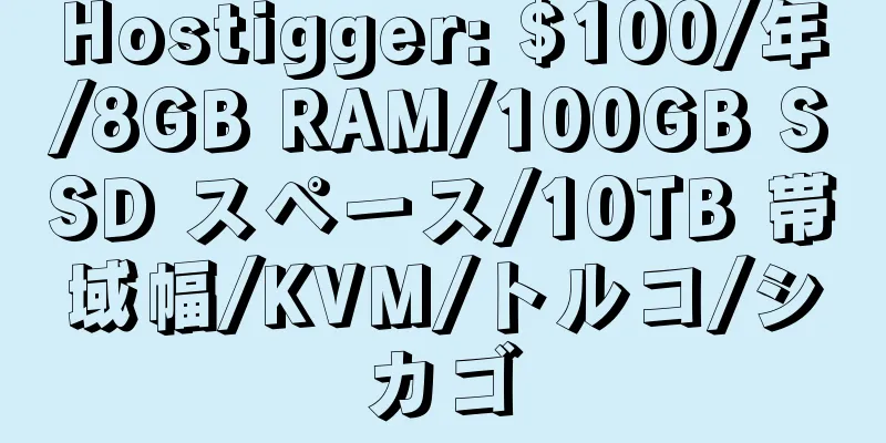 Hostigger: $100/年/8GB RAM/100GB SSD スペース/10TB 帯域幅/KVM/トルコ/シカゴ