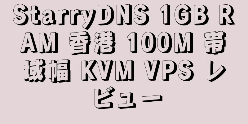 StarryDNS 1GB RAM 香港 100M 帯域幅 KVM VPS レビュー