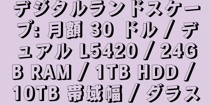 デジタルランドスケープ: 月額 30 ドル / デュアル L5420 / 24GB RAM / 1TB HDD / 10TB 帯域幅 / ダラス