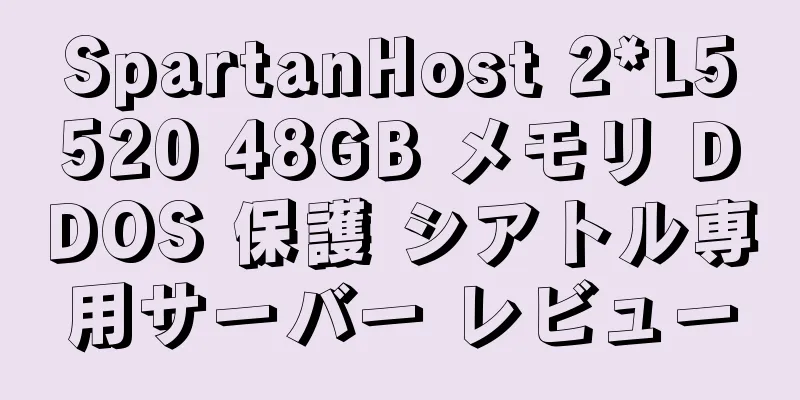 SpartanHost 2*L5520 48GB メモリ DDOS 保護 シアトル専用サーバー レビュー