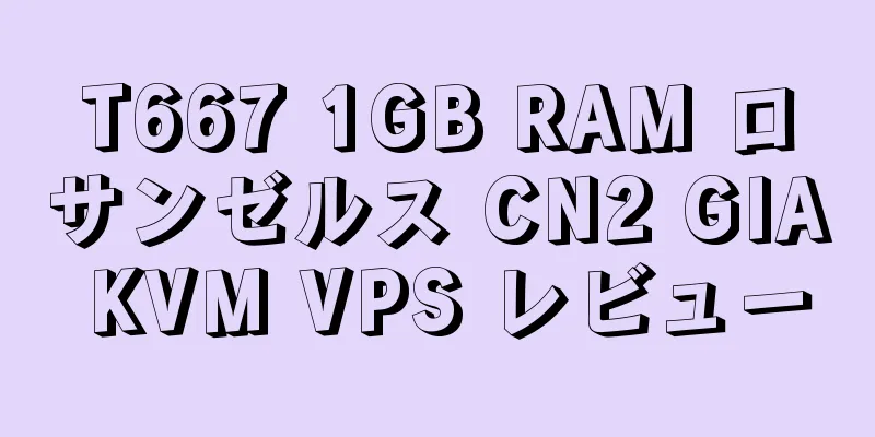 T667 1GB RAM ロサンゼルス CN2 GIA KVM VPS レビュー