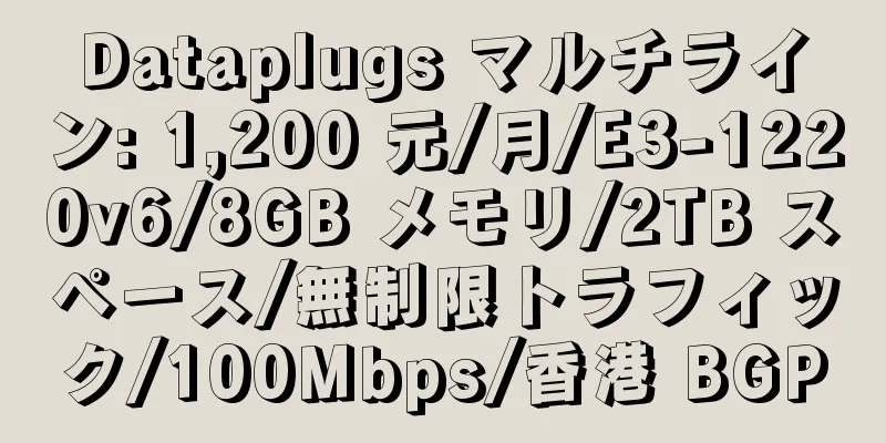 Dataplugs マルチライン: 1,200 元/月/E3-1220v6/8GB メモリ/2TB スペース/無制限トラフィック/100Mbps/香港 BGP