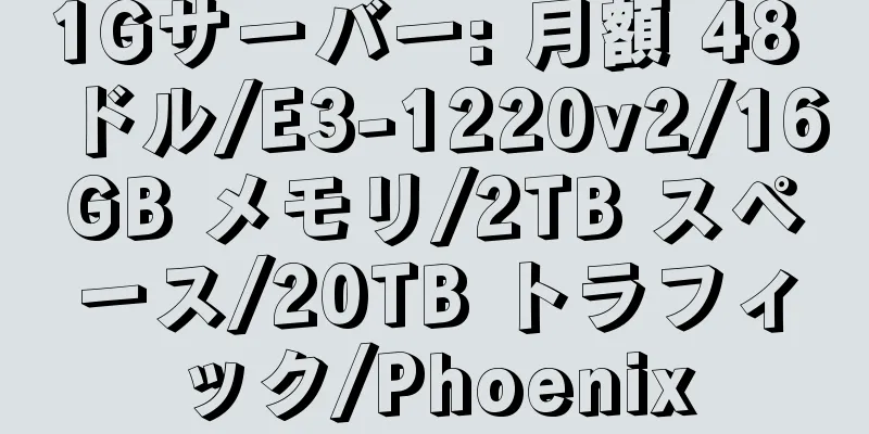 1Gサーバー: 月額 48 ドル/E3-1220v2/16GB メモリ/2TB スペース/20TB トラフィック/Phoenix