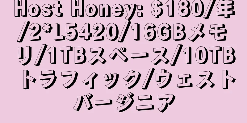 Host Honey: $180/年/2*L5420/16GBメモリ/1TBスペース/10TBトラフィック/ウェストバージニア