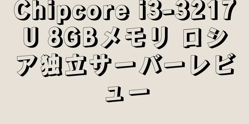 Chipcore i3-3217U 8GBメモリ ロシア独立サーバーレビュー