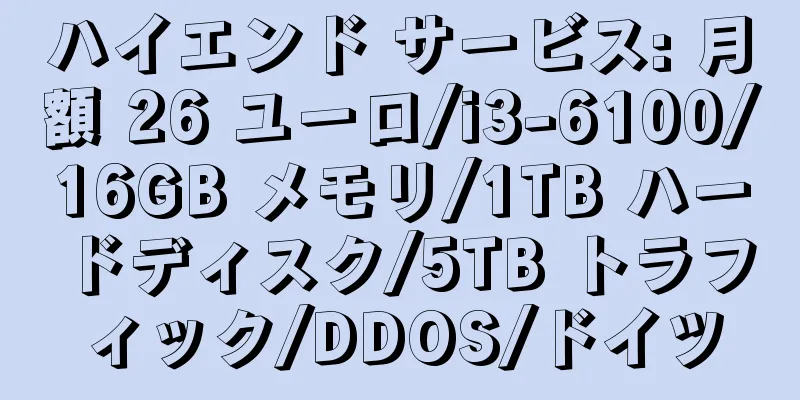 ハイエンド サービス: 月額 26 ユーロ/i3-6100/16GB メモリ/1TB ハードディスク/5TB トラフィック/DDOS/ドイツ