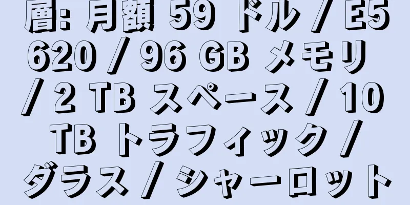 層: 月額 59 ドル / E5620 / 96 GB メモリ / 2 TB スペース / 10 TB トラフィック / ダラス / シャーロット