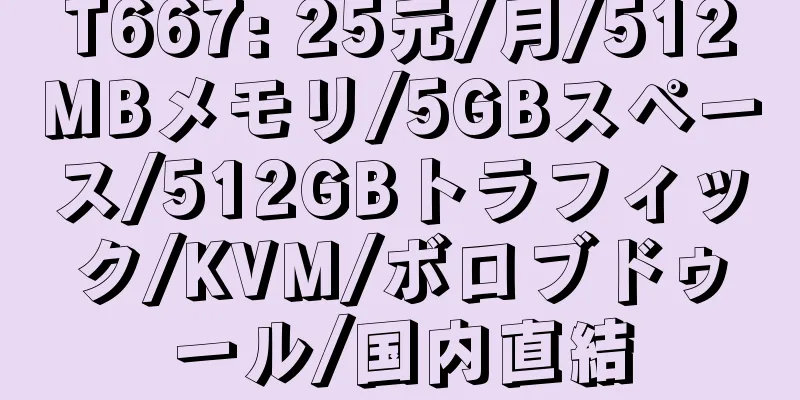 T667: 25元/月/512MBメモリ/5GBスペース/512GBトラフィック/KVM/ボロブドゥール/国内直結