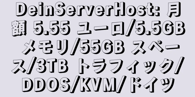 DeinServerHost: 月額 5.55 ユーロ/5.5GB メモリ/55GB スペース/3TB トラフィック/DDOS/KVM/ドイツ