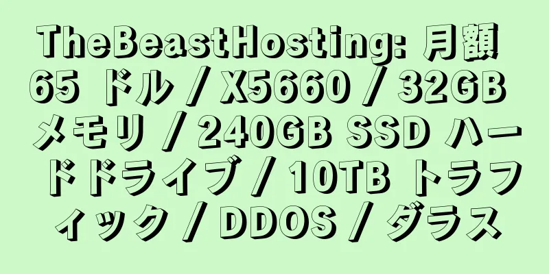 TheBeastHosting: 月額 65 ドル / X5660 / 32GB メモリ / 240GB SSD ハードドライブ / 10TB トラフィック / DDOS / ダラス