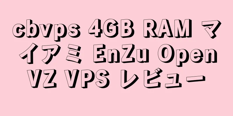 cbvps 4GB RAM マイアミ EnZu OpenVZ VPS レビュー