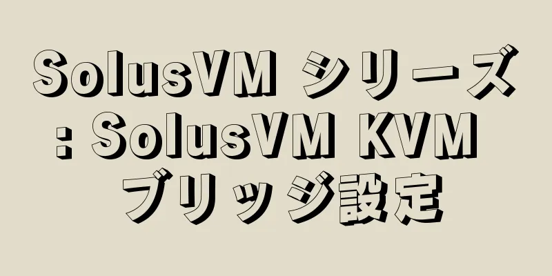 SolusVM シリーズ: SolusVM KVM ブリッジ設定