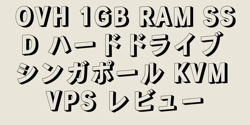 OVH 1GB RAM SSD ハードドライブ シンガポール KVM VPS レビュー