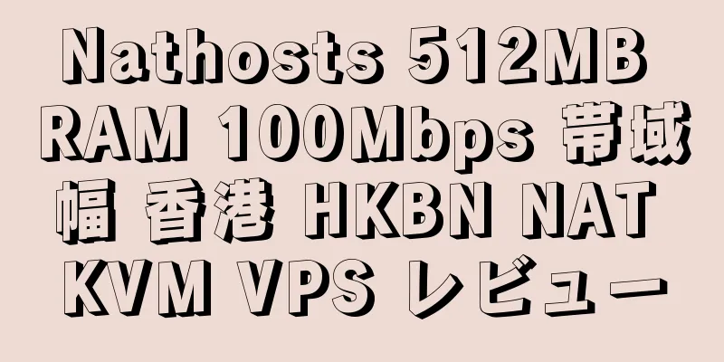 Nathosts 512MB RAM 100Mbps 帯域幅 香港 HKBN NAT KVM VPS レビュー