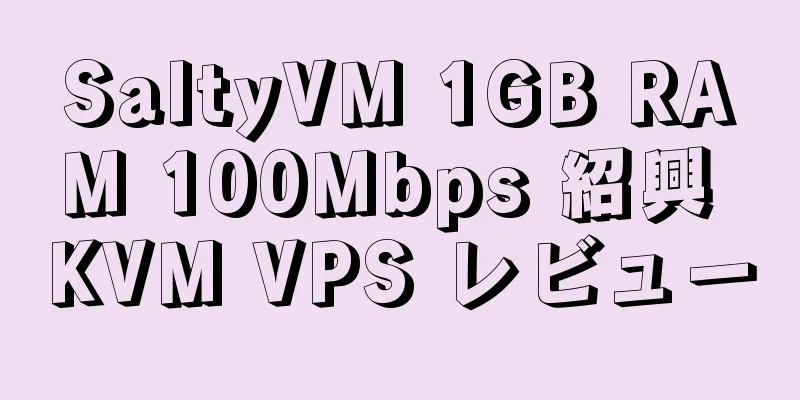 SaltyVM 1GB RAM 100Mbps 紹興 KVM VPS レビュー