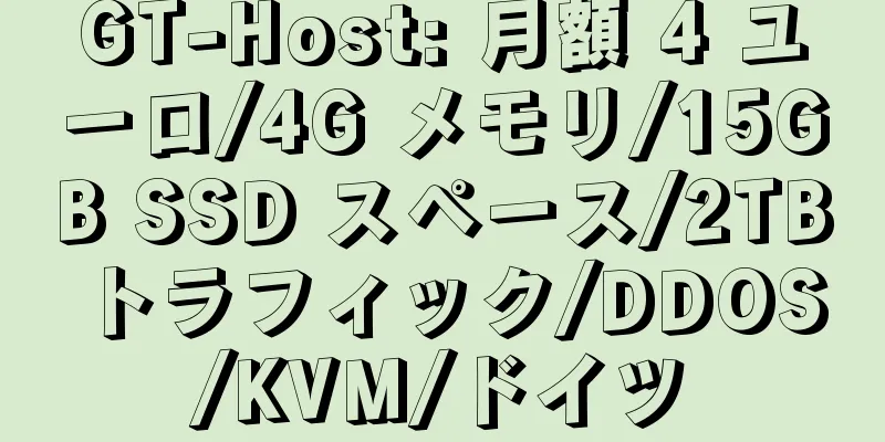 GT-Host: 月額 4 ユーロ/4G メモリ/15GB SSD スペース/2TB トラフィック/DDOS/KVM/ドイツ